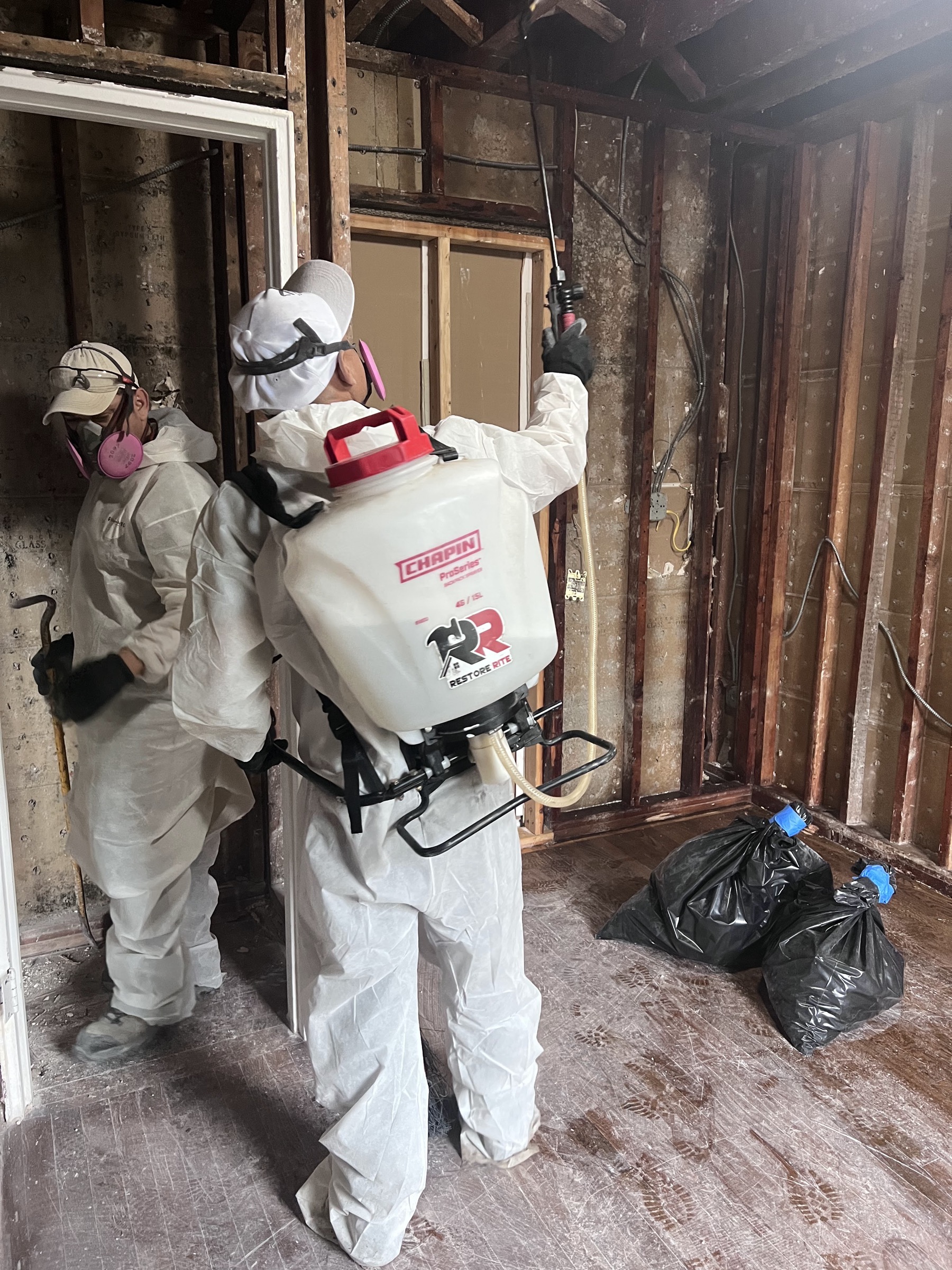 Restore Rite technicians in full PPE treating mold on exposed wall framing