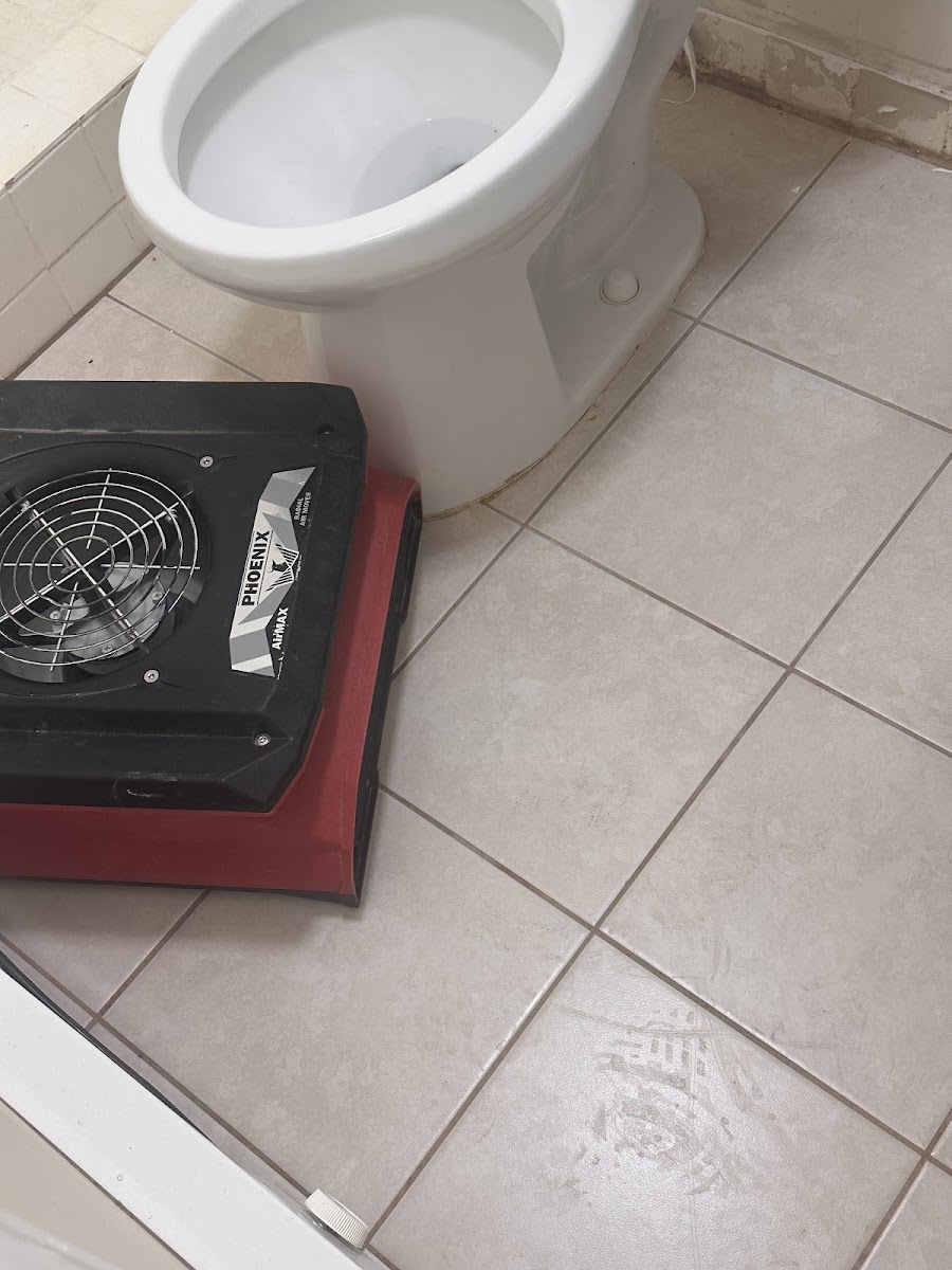 Basement restored and dried out after sewer water flooding — after Restore Rite remediation