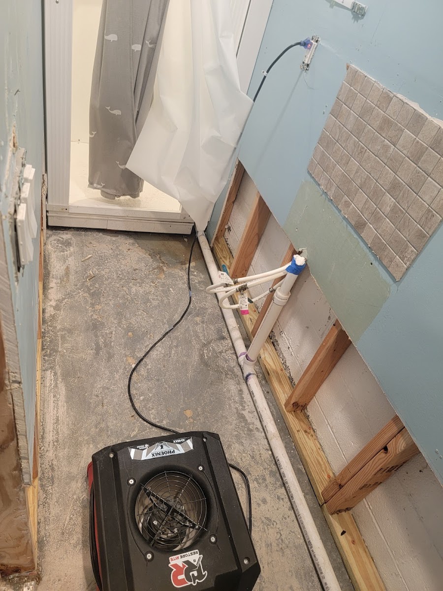 Mold-affected wall framing exposed during a certified remediation project